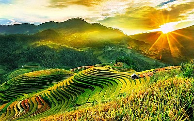 Tại sao cuối tháng 9 2018 lại là thời điểm ngắm cảnh mùa lúa chín ở Mù Cang Chải Tại sao cuối tháng 9 2018 lại là thời điểm ngắm cảnh mùa lúa chín ở Mù Cang Chải