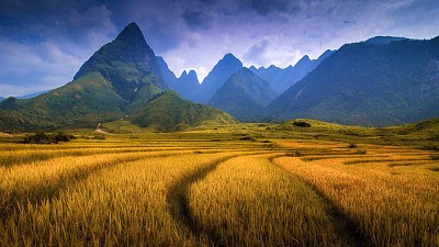 Tổng hợp kinh nghiệm những điều cần biết Tổng hợp kinh nghiệm những điều cần biết