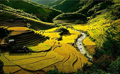 Vẻ Đẹp Tú Lệ Vẻ Đẹp Tú Lệ