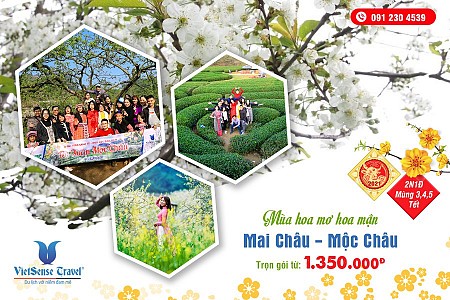 Chương trình Du Xuân Tết Âm Lịch 2025 Khởi hành từ Hà Nội Chương trình Du Xuân Tết Âm Lịch 2025 Khởi hành từ Hà Nội