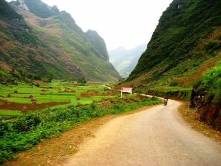 Chương Trình Ghép Đoàn Mùa Hoa Tam Giác Mạch