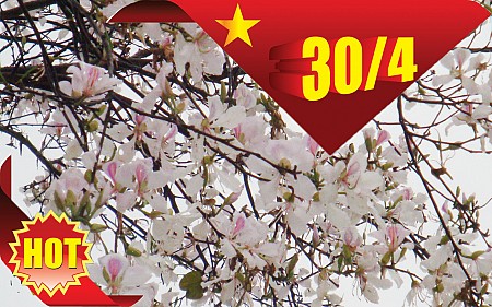 chương trình Hành Trình Tây Bắc 29/4 : HÀ NỘI - MỘC CHÂU - SƠN LA - ĐIỆN BIÊN