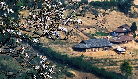 Chương trình Mùa Hoa Ban Nở: Hà Nội - Sơn La - Điện Biên 3N2Đ