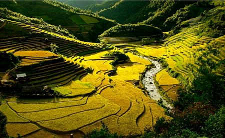 Chương trình Nghĩa Lộ - Mù Cang Chải - Tú Lệ 3 Ngày 2 Đêm Thứ 6 Hàng Tuần Chương trình Nghĩa Lộ - Mù Cang Chải - Tú Lệ 3 Ngày 2 Đêm Thứ 6 Hàng Tuần