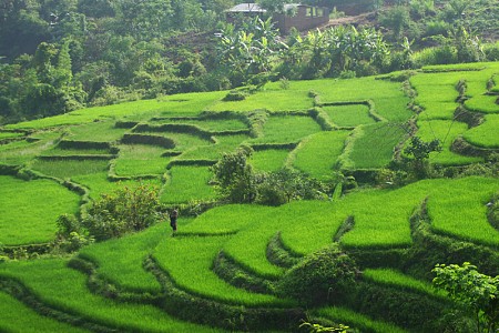 Hà Nội – Sơn La – Điện Biên | 4 Ngày 3 Đêm