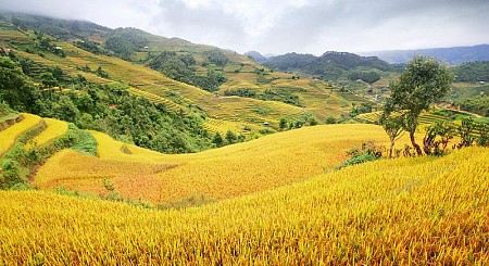 Đồng Văn - Lũng Cú - Mèo Vạc - Tuyên Quang