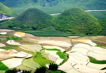 Chương Trình Ghép Đoàn Mùa Hoa Tam Giác Mạch