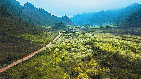 Hà Nội - Cao Nguyên Mộc Châu | 2 Ngày 1 Đêm