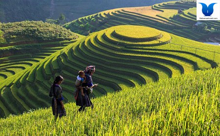 Hàm Rồng - Cát Cát - Lao Chải - Tản Van
