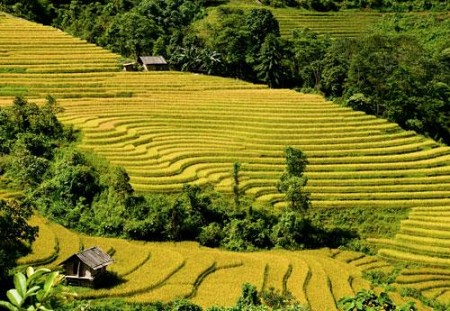 Chương trình Ghép Đoàn: TP Hồ Chí Minh – Hà Nội – Sapa – Hà Khẩu | 4 Ngày 3 Đêm