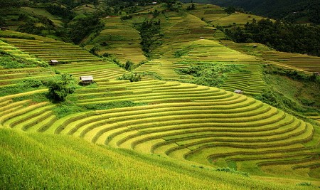 Lào Cai – Đền Bảo Hà - SaPa – Núi Hàm Rồng – Đền Mẫu- Hà Khẩu - Lào Cai | 2 Ngày 3 Đêm