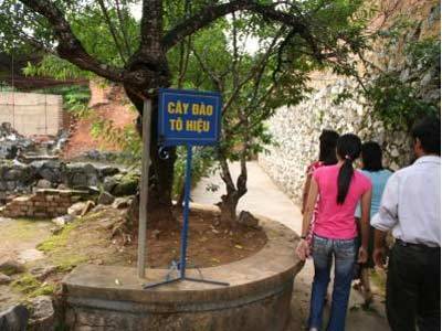 Tây Bắc 3 Ngày 2 Đêm: Hà Nội – Sơn La – Điện Biên