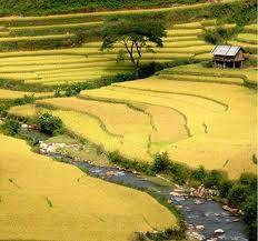 Hà Nội – Yên Bái – Thác Bà – Mù Cang Chải