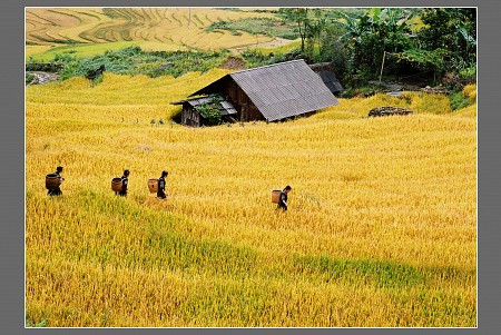 Tây Bắc 4 Ngày 3 Đêm: Hà Nội – Điện Biên - Sơn La