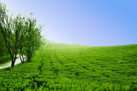 Tây Bắc 4 Ngày 3 Đêm: Hà Nội – Điện Biên - Sơn La