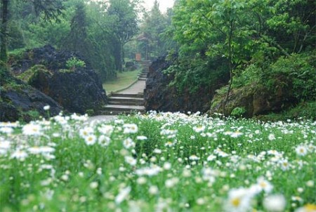 Tây Bắc 5 Ngày: TP Hồ Chí Minh – Sơn La – Điện Biên | 5 Ngày 4 Đêm