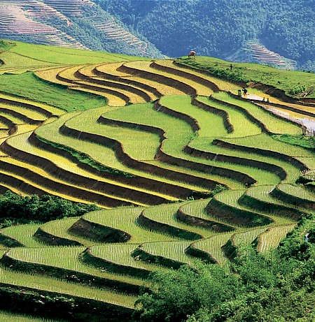 Tây Bắc 5 Ngày: TP Hồ Chí Minh – Sơn La – Điện Biên | 5 Ngày 4 Đêm