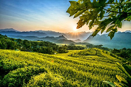 Hà Nội - Mai Châu - Pù Luông - Suối Cá Thần | 2 Ngày 1 Đêm