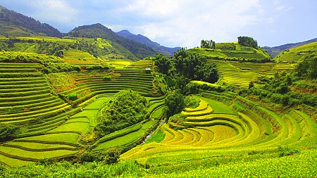 Hà Nội - Mai Châu - Pù Luông - Suối Cá Thần | 2 Ngày 1 Đêm