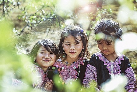 Hà Nội - Mai Châu - Mộc Châu Mùa Hoa Mơ Hoa Mận | 2 Ngày 1 Đêm