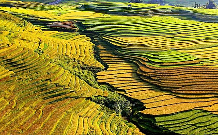 HÀ NỘI - MÙ CANG CHẢI - ĐIỆN BIÊN - SƠN LA - MỘC CHÂU