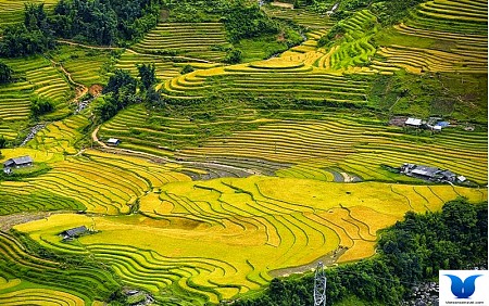 Hàm Rồng - Cát Cát - Lao Chải - Tản Van Hàm Rồng - Cát Cát - Lao Chải - Tản Van