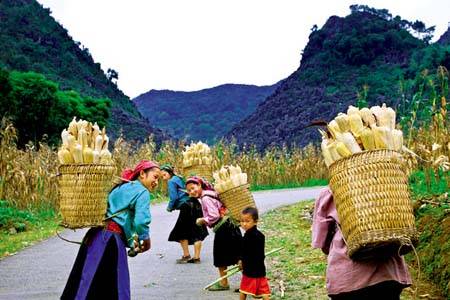 Hành Trình Khám Phú Núi Rừng Tây Bắc | 6 Ngày 5 Đêm