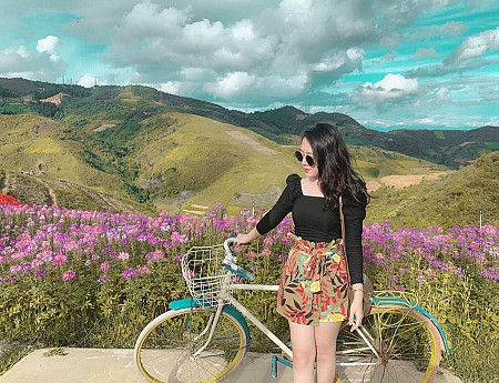 Lạc vào cõi thần tiên với đồi hoa tím biếc đẹp đến nao lòng tại Tây Bắc