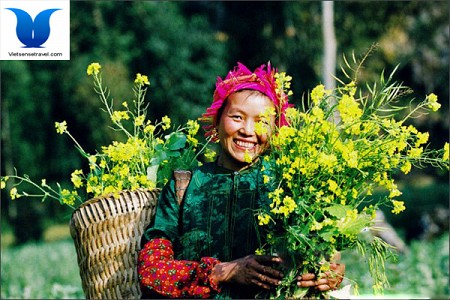 Lào Cai – Đền Bảo Hà - SaPa – Núi Hàm Rồng – Đền Mẫu- Hà Khẩu - Lào Cai | 2 Ngày 3 Đêm Lào Cai – Đền Bảo Hà - SaPa – Núi Hàm Rồng – Đền Mẫu- Hà Khẩu - Lào Cai | 2 Ngày 3 Đêm