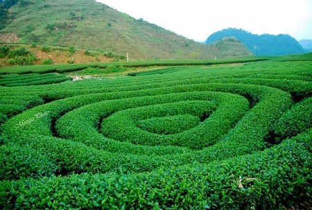 LỊCH KHỞI HÀNH chương trình GHÉP MIỀN BẮC DỊP LỄ 30/4 - 1/5