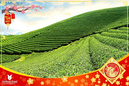 Mộc Châu - Sơn La - Điện Biên | Tết Âm Lịch 2025