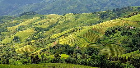 Tìm hiểu huyện Phong Thổ - Tỉnh Lai Châu