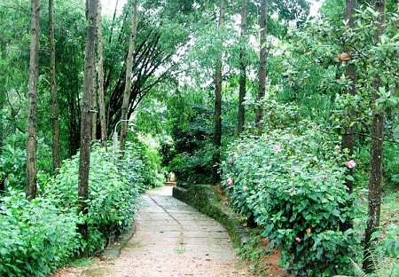 Resort Vịt Cổ Xanh (La Ferme Du Covert Resort) Hòa Bình