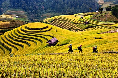 Sôi động cùng Tuần Văn hóa - trải nghiệm Mường Lò Sôi động cùng Tuần Văn hóa - trải nghiệm Mường Lò