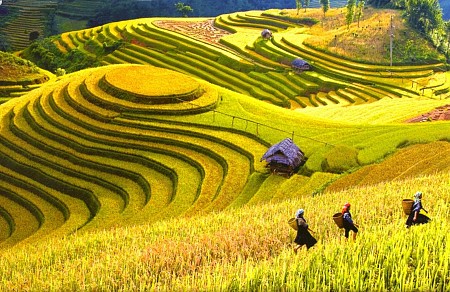 Sôi nổi tuần lễ văn hóa - lịch trình
 với chủ đề: “Mùa vàng trên non”. Sôi nổi tuần lễ văn hóa - lịch trình
 với chủ đề: “Mùa vàng trên non”.