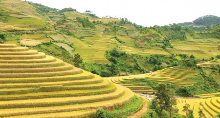 Tây Bắc 4 Ngày 3 đêm: Hà Nội – Sơn La – Điện Biên