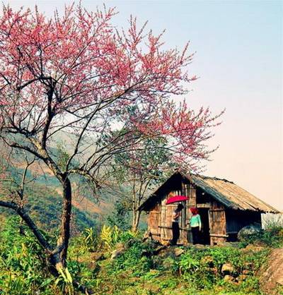 Tây Bắc 5 Ngày 4 Đêm: Hà Nội -  Mai Châu – Sơn La – Điện Biên – Sapa (đi xe,về tàu) Tây Bắc 5 Ngày 4 Đêm: Hà Nội -  Mai Châu – Sơn La – Điện Biên – Sapa (đi xe,về tàu)