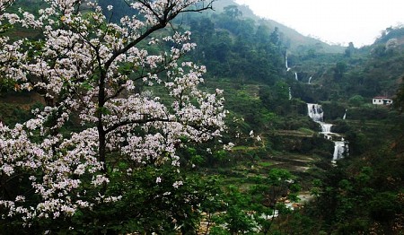 Thăm Quan Tây Bắc Mùa Hoa Ban Nở | 3 Ngày 2 Đêm