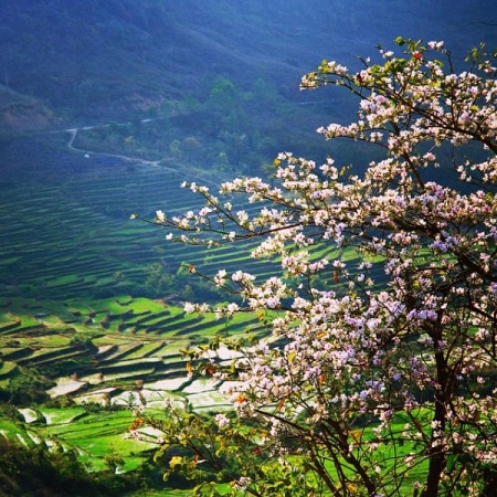 Kinh Nghiệm khám phá Điện Biên Tự Túc, Khỏi Lo Chơi Gì, Ở Đâu 2025 Kinh Nghiệm khám phá Điện Biên Tự Túc, Khỏi Lo Chơi Gì, Ở Đâu 2025