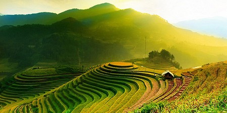 Kinh nghiệm đi Mù Cang Chải tự túc cực chi tiết 2025