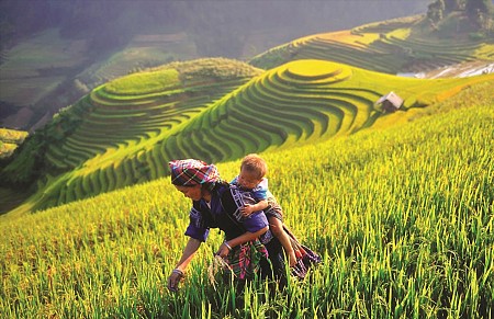 Tất tần tật kinh nghiệm Vivu Yên Bái mới nhất 2025