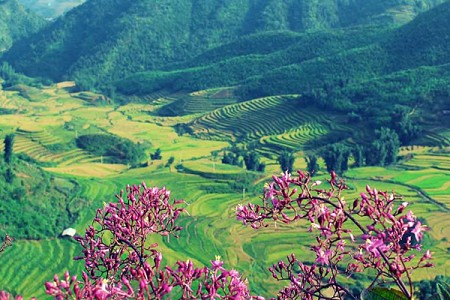 chương trình KÝ ỨC ĐIỆN BIÊN: Hà Nội - Sơn La - Điện Biên 3N2D DỊP 30/4