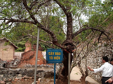 Hà Nội - Sơn La - Điện Biên | 3 Ngày 2 Đêm