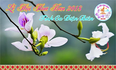 Hà Nội - Sơn La - Điện Biên - Vườn Hồng Mộc Châu