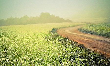 Hà Nội – Mộc Châu – Sơn La – Điện Biên