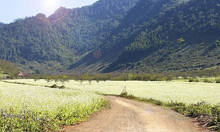 Hà Nội – Mộc Châu – Sơn La – Điện Biên