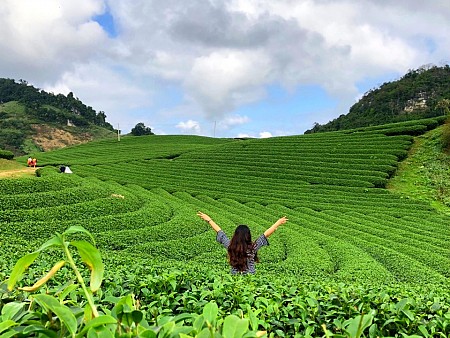 Mai Châu - Mộc Châu - Thác Dải Yếm - Thung Lũng Hoa Mận Nà Ka - Đồi Chè 2025