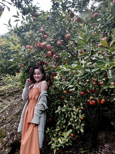 Mai Châu - Mộc Châu - Thác Dải Yếm - Thung Lũng Hoa Mận Nà Ka - Đồi Chè 2025