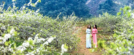 Mai Châu - Mộc Châu - Thác Dải Yếm - Thung Lũng Hoa Mận Nà Ka - Đồi Chè 2025