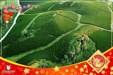 Mộc Châu - Sơn La - Điện Biên | Tết Âm Lịch 2025